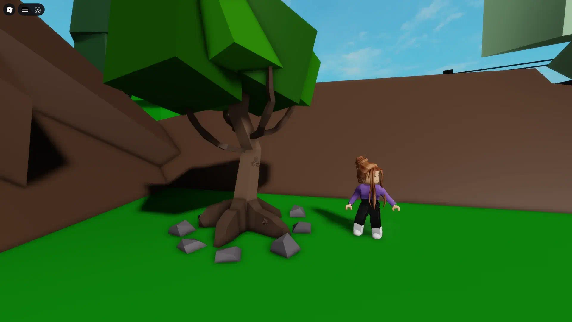 The unusual campsite tree used to discover code 4359