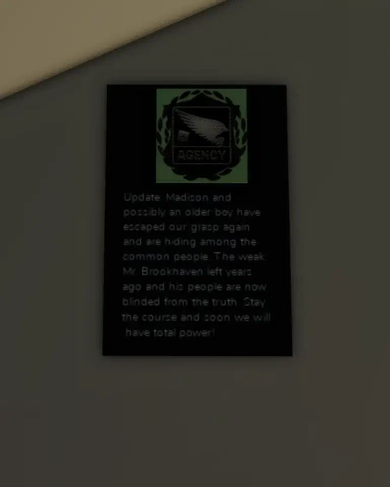 Agency Note About Madison and Older Boy