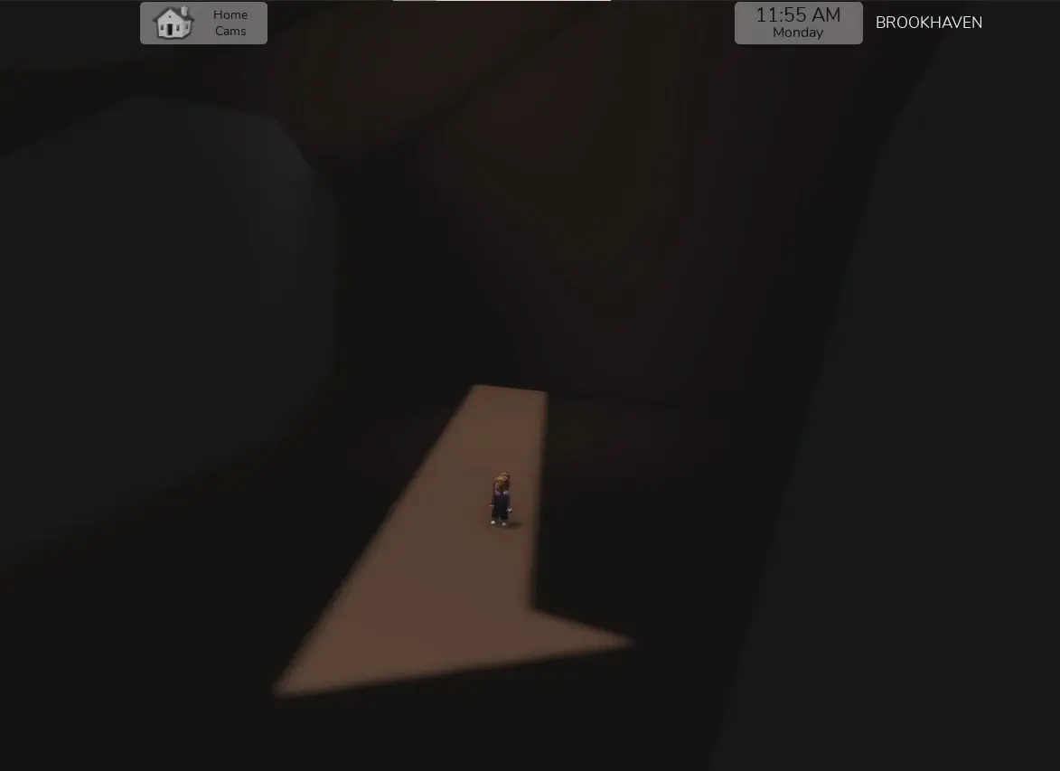 View of Cave Light at 11:55 that resembles the shape of a 1 or flag.