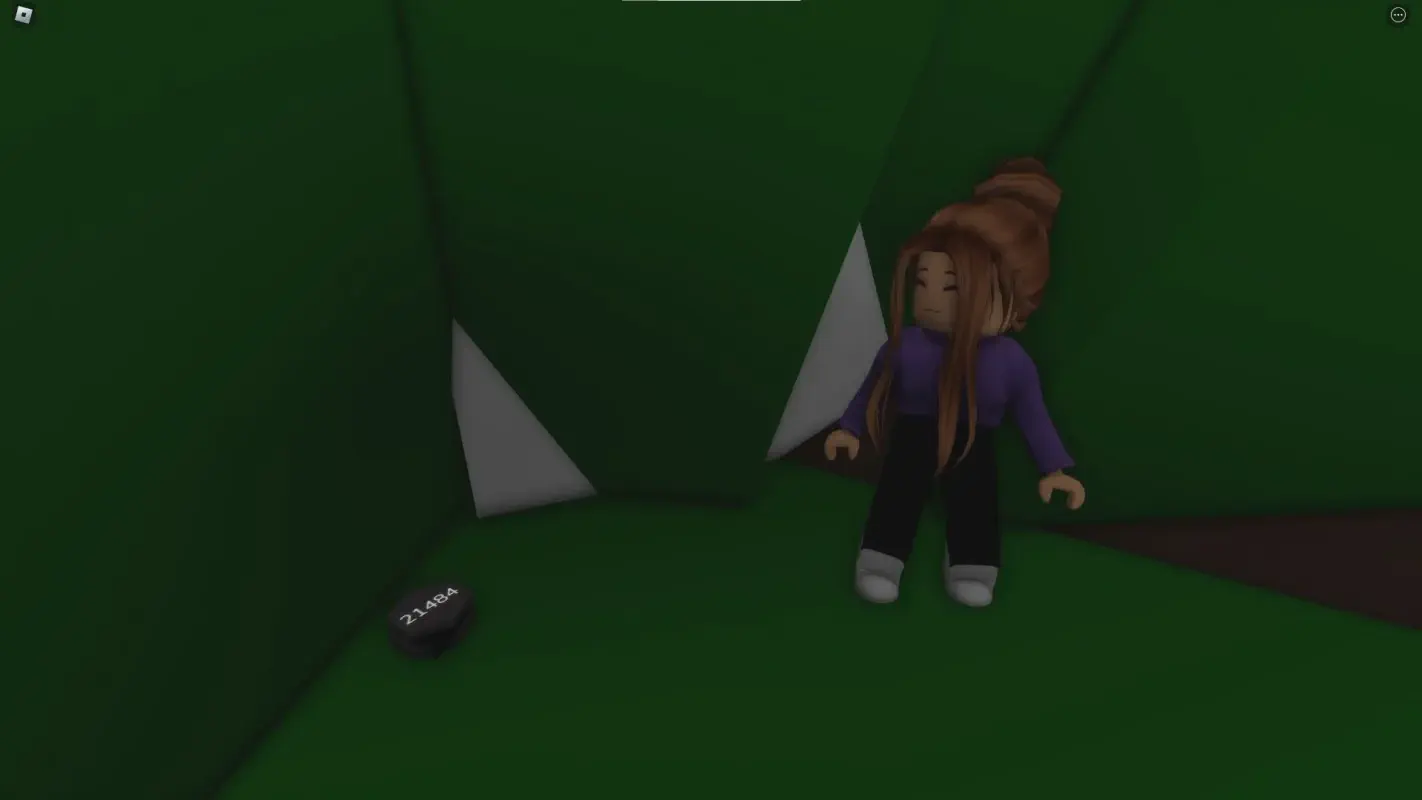 Eagle View Arch Movie Reel