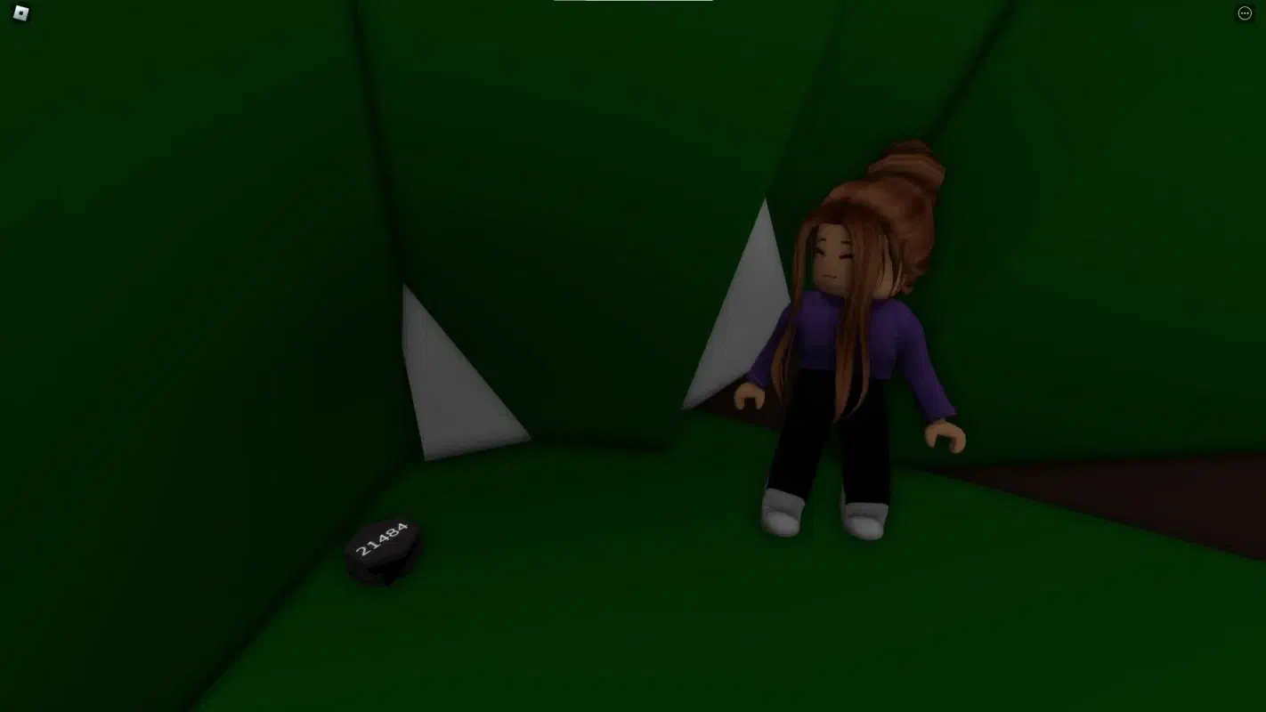 Eagle View Arch Movie Reel