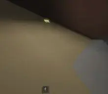 Paradise Falls Crystal