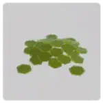 BrookhavenRP Prop: Flat spread of gold coins, used in treasure scenes.